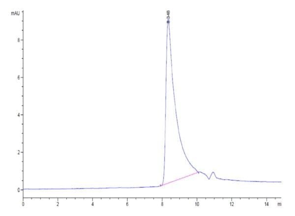 HPLC of Biotinylated Human MCP-1/CCL2 Protein 4711