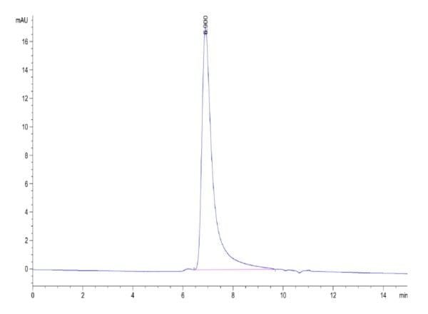 HPLC of Biotinylated Human OX40/TNFRSF4/CD134 Protein 4723