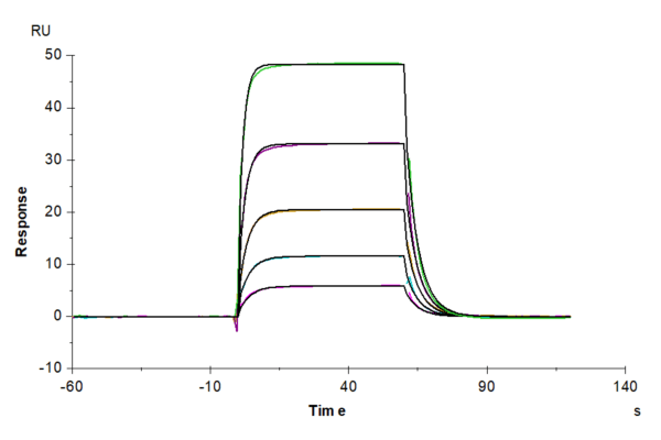 SPR with Biotinylated Human KIR3DL3 Protein 4726