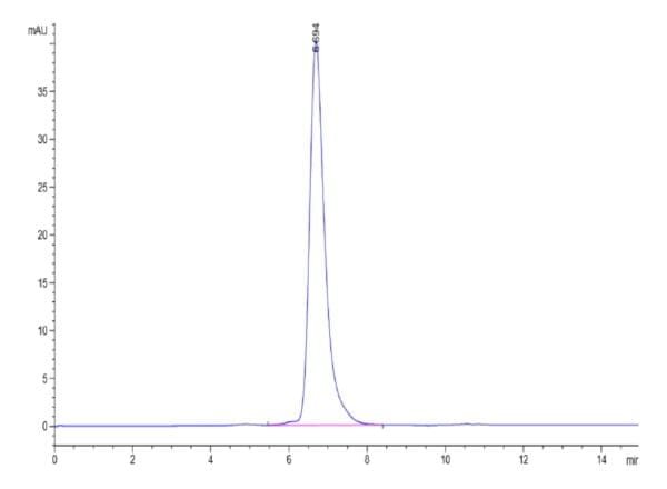 HPLC of Biotinylated Human CD3E&CD3G/CD3 epsilon&CD3 gamma Protein 4729