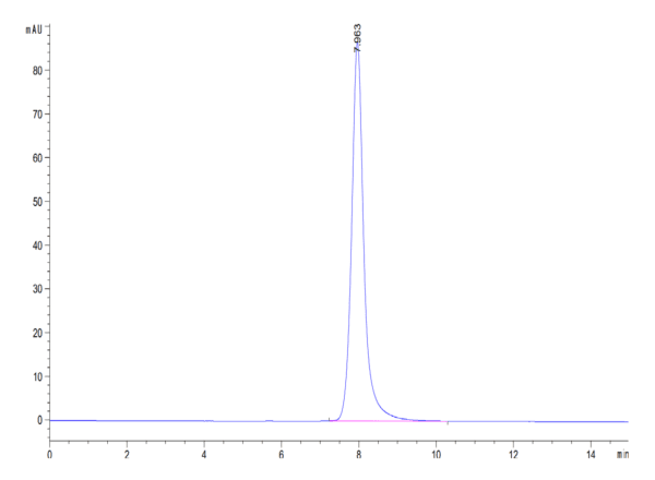 HPLC of Human NKG2A&CD94 Protein 4731