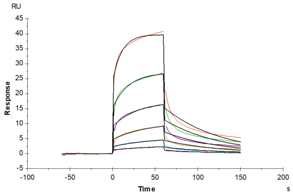 SPR with Biotinylated Human Notch 1 Protein 4733