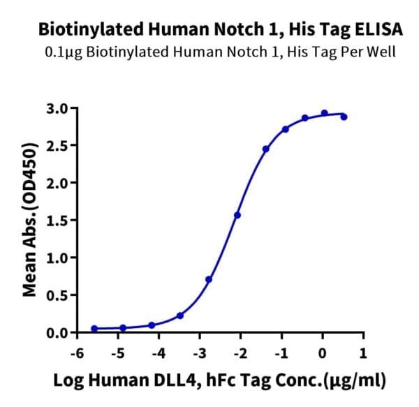 ELISA with Biotinylated Human Notch 1 Protein 4733