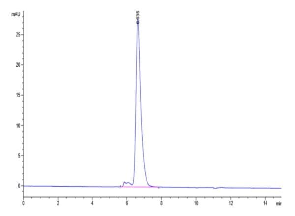 HPLC of Biotinylated Human Notch 1 Protein 4733