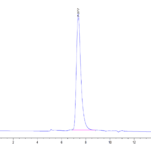 HPLC of Human KIR2DL2 Protein 4740