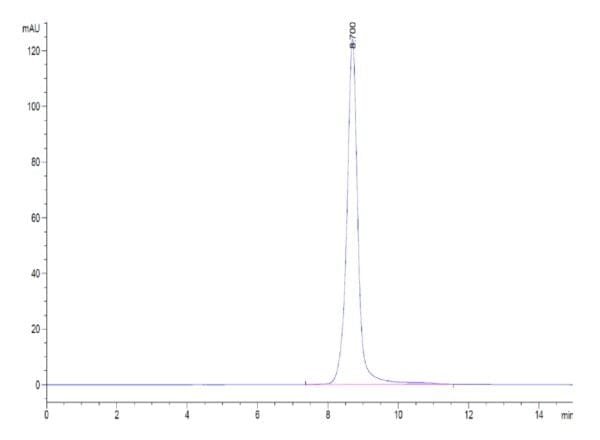 HPLC of Biotinylated Human IL-2 R beta/CD122 Protein 4743