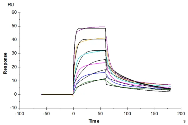 SPR with Human IL-7 Protein 4751