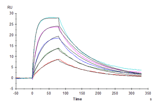 SPR with Human IL-15 Protein 4753