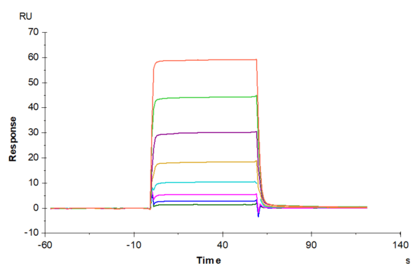 SPR with Biotinylated Human Oncostatin M/OSM Protein 4756