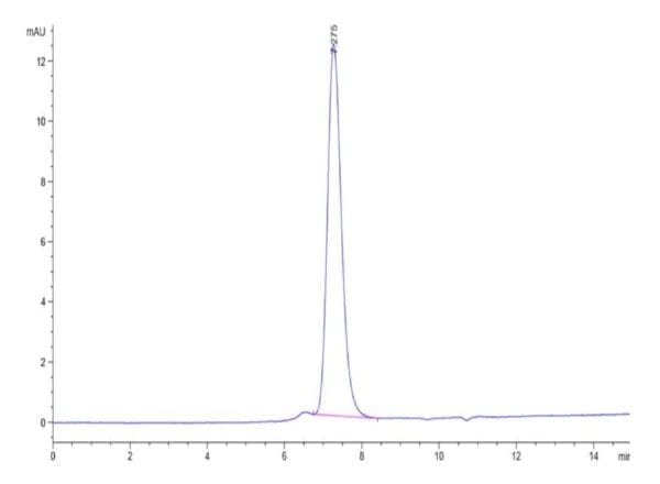 HPLC of Biotinylated Human KIR2DL3 Protein 4758