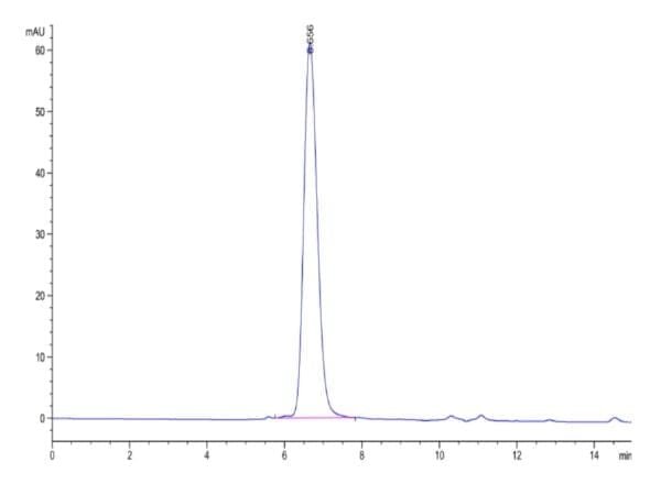 HPLC of Biotinylated Human FGFR3 alpha (IIIb) Protein 4761