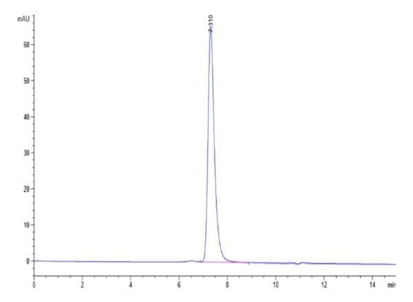 HPLC of Mouse Nectin-4 Protein 4771