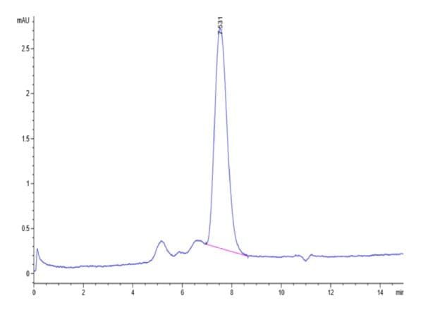 HPLC of Biotinylated Human MICB Protein 4776