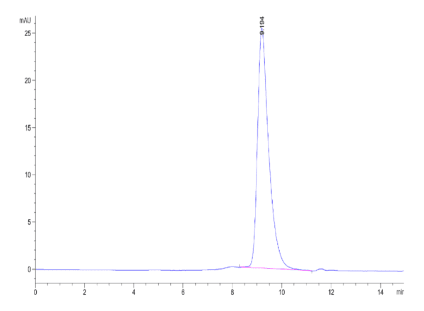 HPLC of Biotinylated Human LILRB2/CD85d/ILT4 Protein 4781