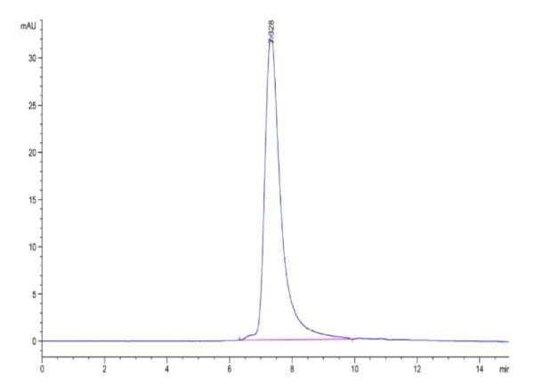 HPLC of Human ENPP-2/Autotaxin Protein 4789