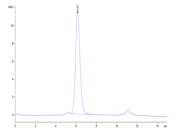 HPLC of Biotinylated Human IL-17R alpha/CD217 Protein 4790