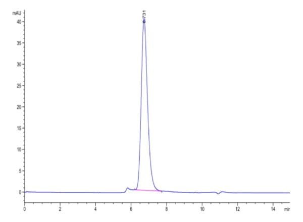 HPLC of Biotinylated Human IFN alpha beta R1 Protein 4792