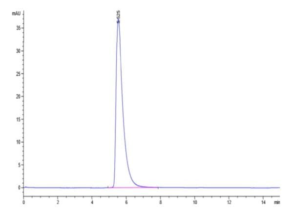 HPLC of Biotinylated Human ACE2/ACEH Protein 4793