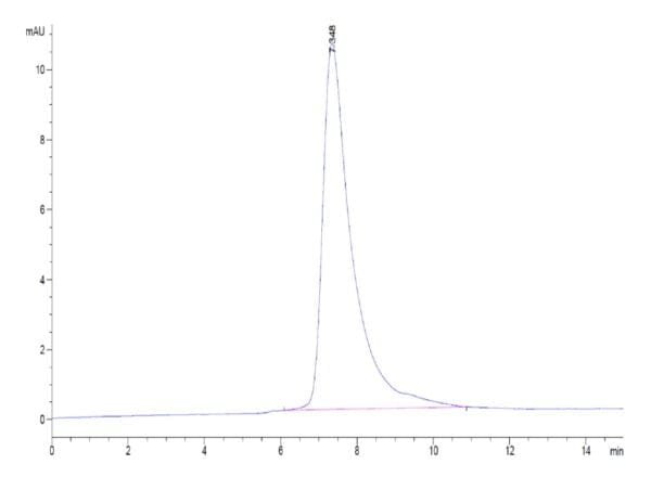 HPLC of Rat TROP-2/TACSTD2 Protein 4794