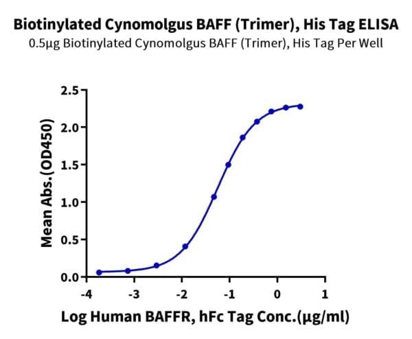 ELISA with Biotinylated Cynomolgus BAFF/TNFSF13B/CD257 Trimer Protein 4799