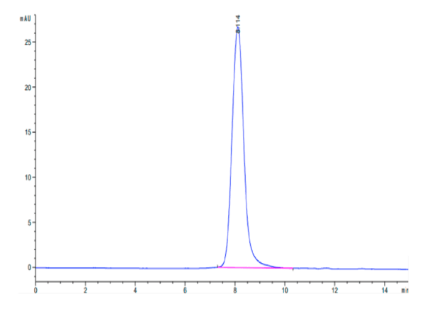 HPLC of Biotinylated Human FGFR1 alpha (IIIc) Protein 4801