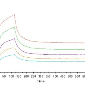 SPR with Human CD3E&CD3D/CD3 epsilon&CD3 delta Protein 4804