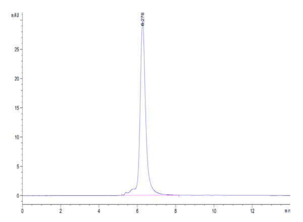 HPLC of Human CD3E&CD3D/CD3 epsilon&CD3 delta Protein 4804