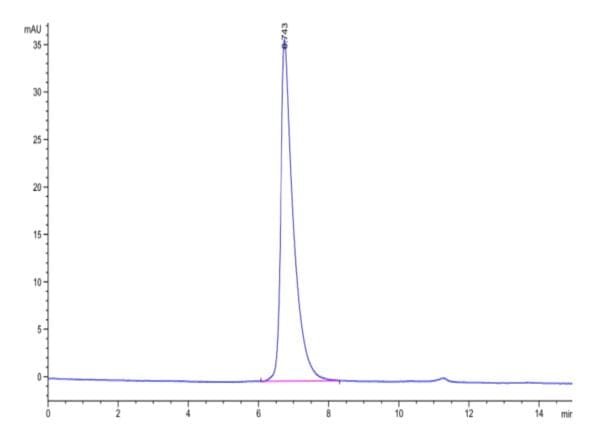 HPLC of Biotinylated Human Nectin-2/CD112 Protein 4815