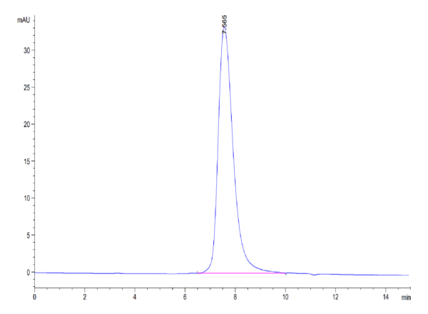 HPLC of Biotinylated Human Fc gamma RIIIB/CD16b (NA2) Protein 4821