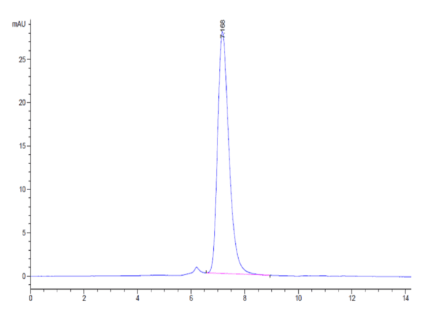 HPLC of Biotinylated Human IL-17R alpha/CD217 Protein 4825