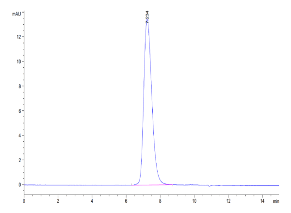 HPLC of Human TRAIL R4/TNFRSF10D Protein 4828