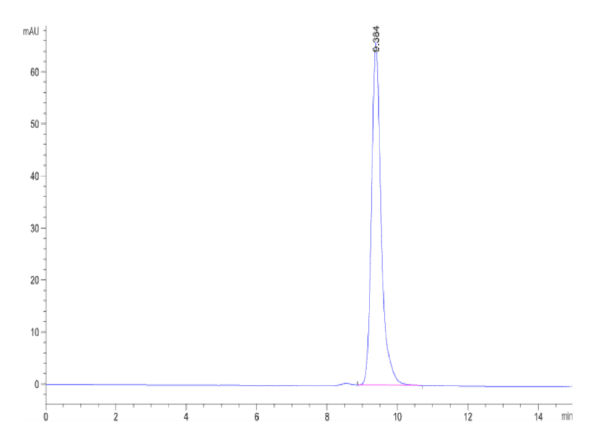 HPLC of Biotinylated Cynomolgus/Rhesus macaque FcRn Protein 4832