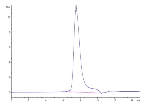 HPLC of Biotinylated Human IL-17F Protein 4835