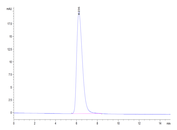 HPLC of Human TROP-2/TACSTD2 Protein 4838