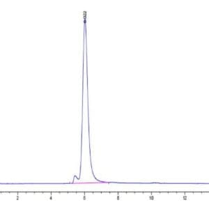 HPLC of Mouse CDCP1 Protein 4865