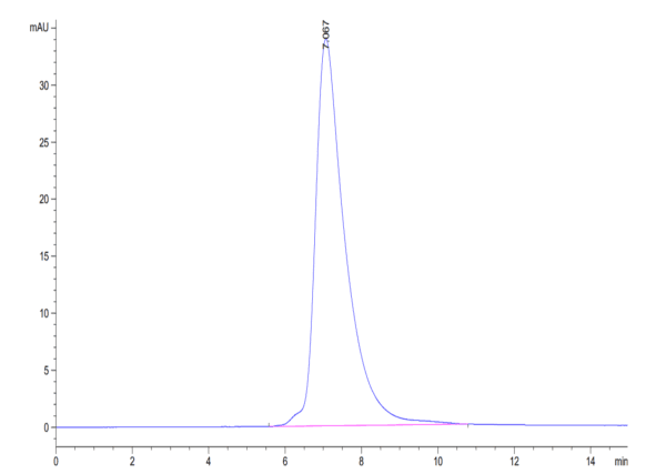 HPLC of Biotinylated Human MICA Protein 4869