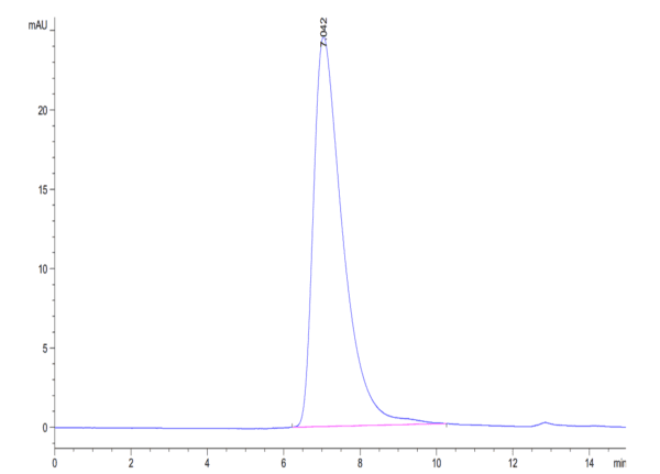 HPLC of Biotinylated Human LILRA6/CD85b/ILT8 Protein 4871