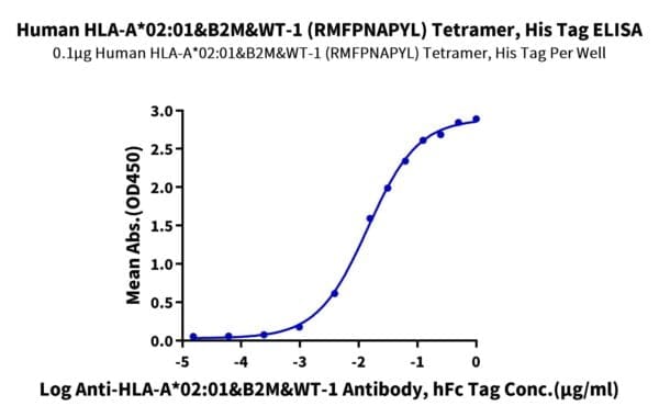 ELISA with Human HLA-A*02:01&B2M&WT-1 (RMFPNAPYL) Tetramer Protein 4877