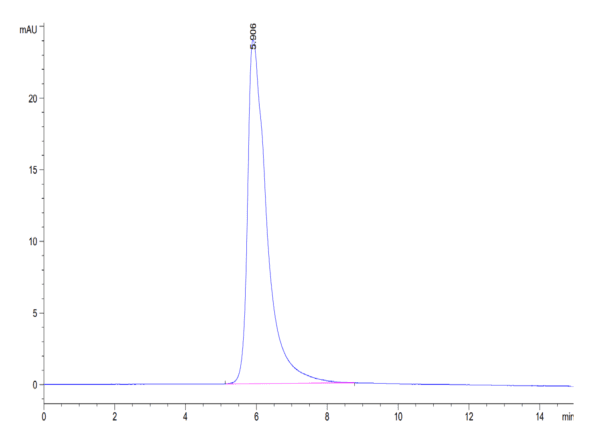 HPLC of Human HLA-A*02:01&B2M&WT-1 (RMFPNAPYL) Tetramer Protein 4877
