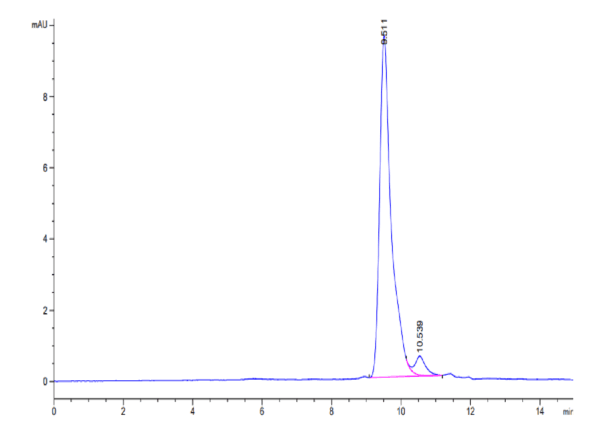 HPLC of SARS-CoV-2 3CLpro/3C-like Protease Protein 4880