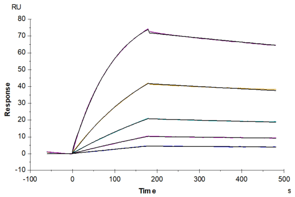 SPR with Biotinylated Human IL-10 Protein 4881