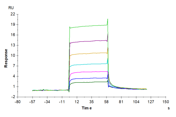 SPR with Biotinylated Human M-CSF R/CSF1R/CD115 Protein 4883