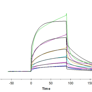 SPR with Human CEACAM-1/CD66a Protein 4886