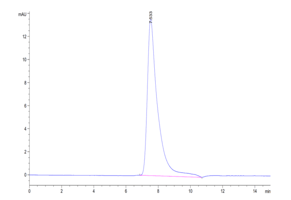 HPLC of Human TRAIL Trimer Protein 4888