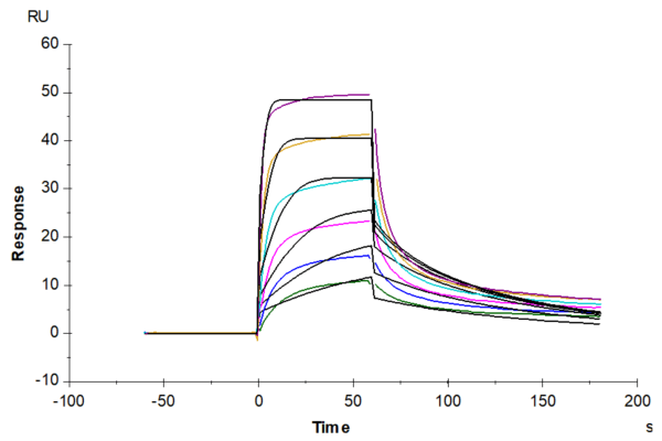 SPR with Human IL-7R alpha/CD127 Protein 4894