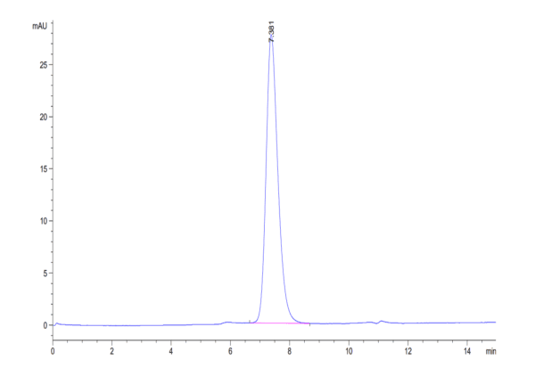 HPLC of Human IL-7R alpha/CD127 Protein 4894