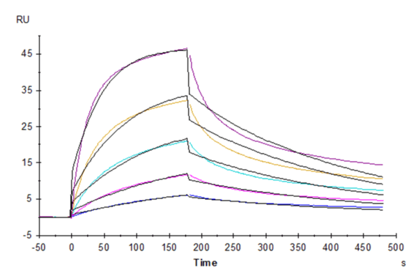 SPR with Human Fas Ligand/TNFSF6 Protein 4897
