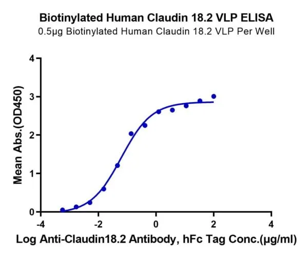 ELISA with Biotinylated Human Claudin 18.2 Protein-VLP 4901