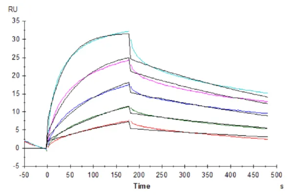 SPR with Biotinylated Human Claudin 18.2 Protein-VLP 4901