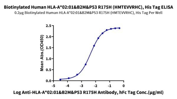 ELISA with Biotinylated Human HLA-A*02:01&B2M&P53 R175H (HMTEVVRHC) Mon 5005